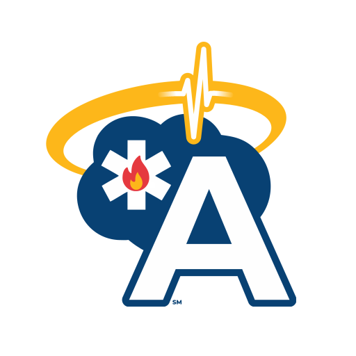 AngelTrack Training Portal